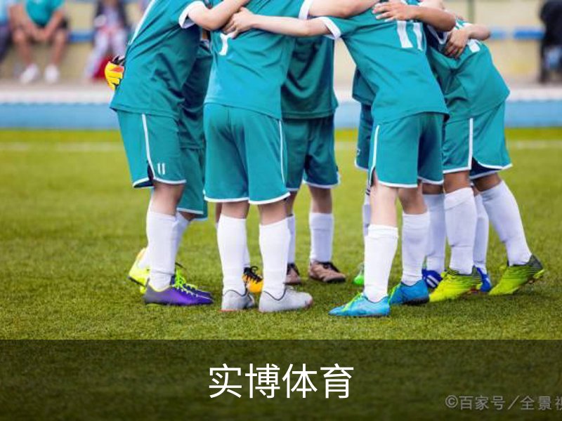 了解实博体育