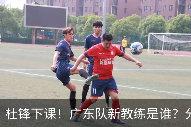 杜锋下课！广东队新教练是谁？分析3选1